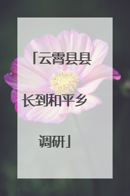 云霄县县长到和平乡调研