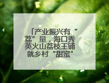 产业振兴有“荔”量，海口秀英火山荔枝王铺就乡村“甜蜜”致富路