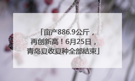 亩产886.9公斤，再创新高！6月25日，青岛夏收夏种全部结束