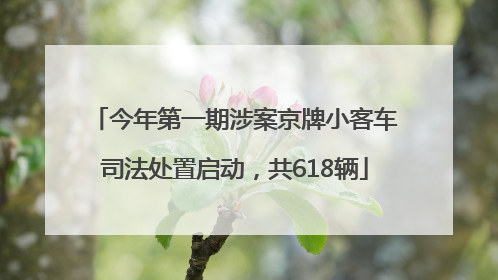 今年第一期涉案京牌小客车司法处置启动，共618辆