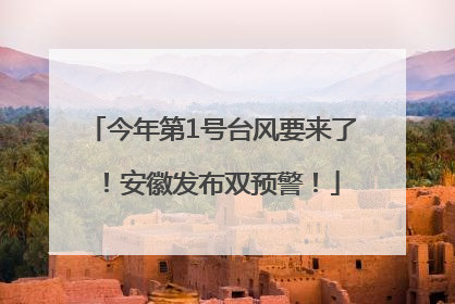 今年第1号台风要来了！安徽发布双预警！