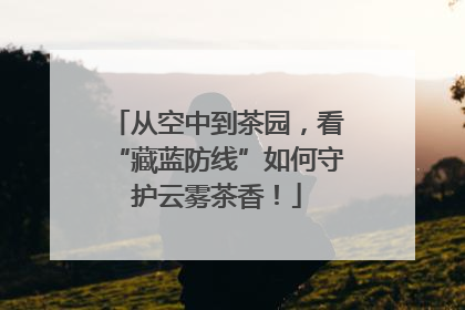 从空中到茶园，看“藏蓝防线”如何守护云雾茶香！