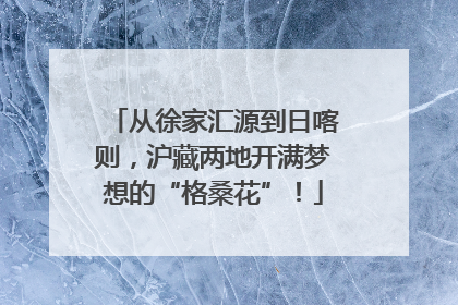 从徐家汇源到日喀则，沪藏两地开满梦想的“格桑花”！