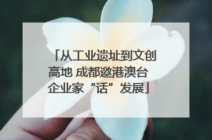 从工业遗址到文创高地 成都邀港澳台企业家“话”发展