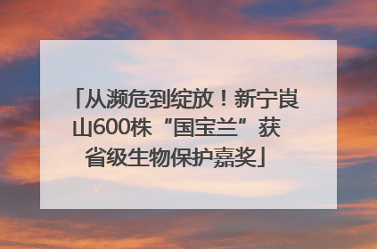从濒危到绽放！新宁崀山600株“国宝兰”获省级生物保护嘉奖