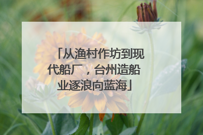 从渔村作坊到现代船厂，台州造船业逐浪向蓝海