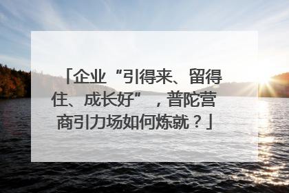 企业“引得来、留得住、成长好”，普陀营商引力场如何炼就？