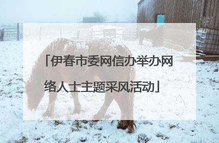 伊春市委网信办举办网络人士主题采风活动