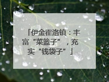 伊金霍洛镇：丰富“菜篮子”，充实“钱袋子”