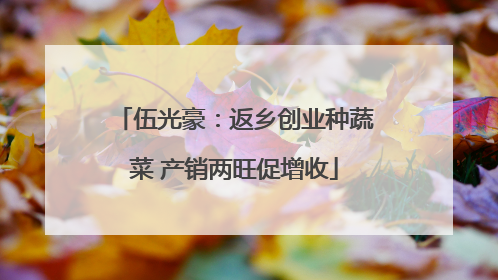 伍光豪：返乡创业种蔬菜 产销两旺促增收