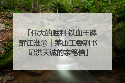 伟大的胜利·铁血丰碑耀江淮⑥｜茅山工委副书记洪天诚的亲笔信