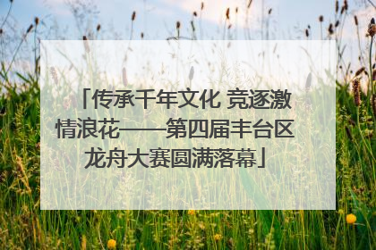 传承千年文化 竞逐激情浪花——第四届丰台区龙舟大赛圆满落幕