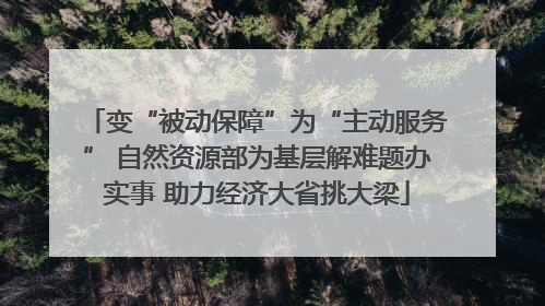 变“被动保障”为“主动服务” 自然资源部为基层解难题办实事 助力经济大省挑大梁