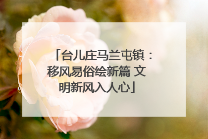 台儿庄马兰屯镇：移风易俗绘新篇 文明新风入人心