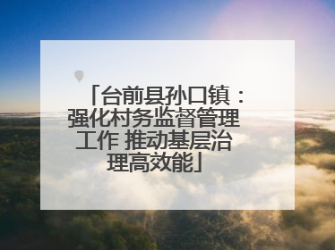 台前县孙口镇：强化村务监督管理工作 推动基层治理高效能