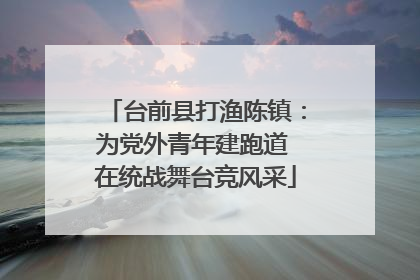 台前县打渔陈镇：为党外青年建跑道 在统战舞台竞风采