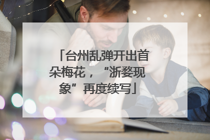 台州乱弹开出首朵梅花，“浙婺现象”再度续写