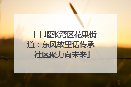 十堰张湾区花果街道：东风故里话传承 社区聚力向未来
