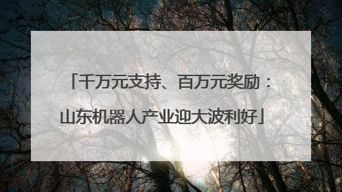 千万元支持、百万元奖励：山东机器人产业迎大波利好