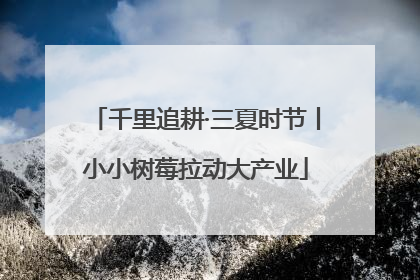 千里追耕·三夏时节丨小小树莓拉动大产业