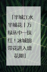 半城江水半城花丨万绿丛中一抹红！冰城锦带花进入盛花期