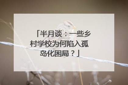 半月谈：一些乡村学校为何陷入孤岛化困局？