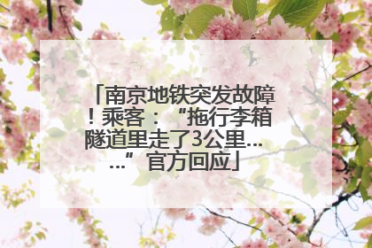 南京地铁突发故障！乘客：“拖行李箱隧道里走了3公里……”官方回应
