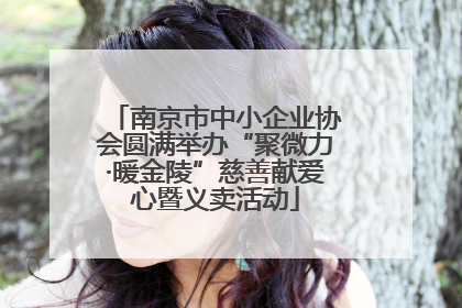 南京市中小企业协会圆满举办“聚微力·暖金陵”慈善献爱心暨义卖活动