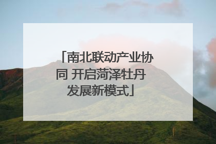 南北联动产业协同 开启菏泽牡丹发展新模式