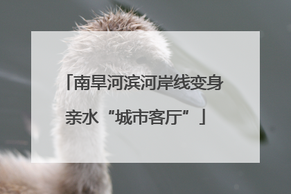 南旱河滨河岸线变身亲水“城市客厅”