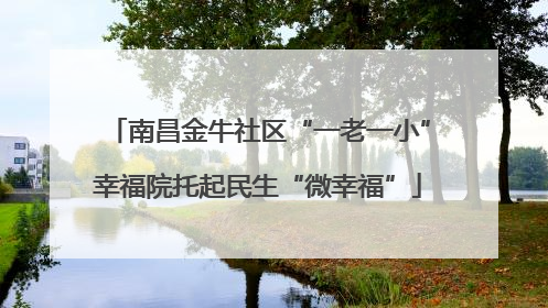 南昌金牛社区“一老一小”幸福院托起民生“微幸福”