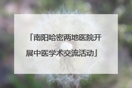 南阳哈密两地医院开展中医学术交流活动