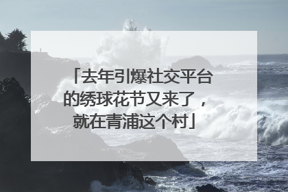 去年引爆社交平台的绣球花节又来了，就在青浦这个村
