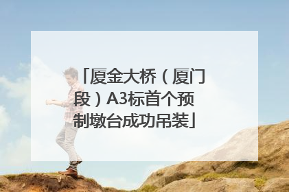 厦金大桥（厦门段）A3标首个预制墩台成功吊装