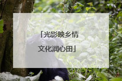 光影映乡情 文化润心田