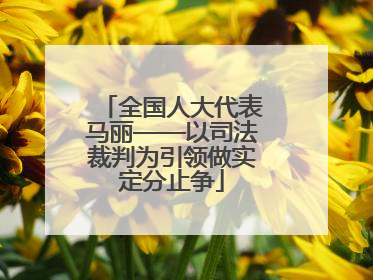 全国人大代表马丽——以司法裁判为引领做实定分止争