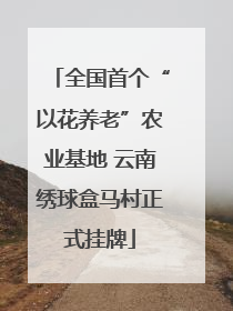 全国首个“以花养老”农业基地 云南绣球盒马村正式挂牌
