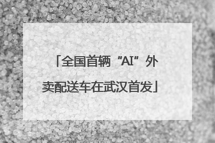 全国首辆“AI”外卖配送车在武汉首发
