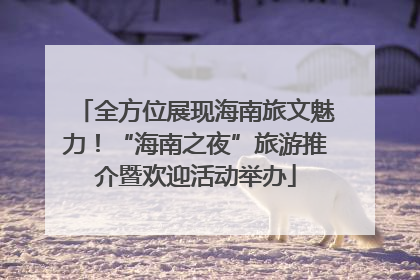 全方位展现海南旅文魅力！“海南之夜”旅游推介暨欢迎活动举办