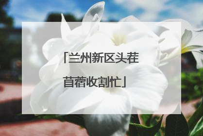 兰州新区头茬苜蓿收割忙