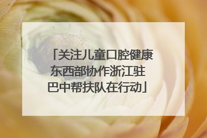 关注儿童口腔健康 东西部协作浙江驻巴中帮扶队在行动