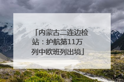 内蒙古二连边检站：护航第11万列中欧班列出境