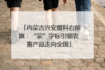 内蒙古兴安盟科右前旗：“蒙”字标引领农畜产品走向全国