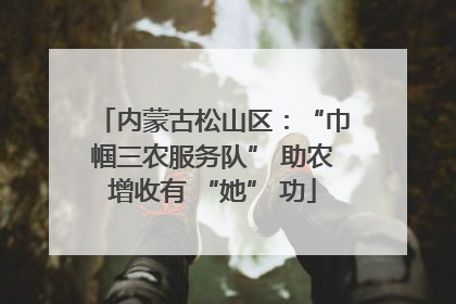 内蒙古松山区：“巾帼三农服务队” 助农增收有 “她” 功