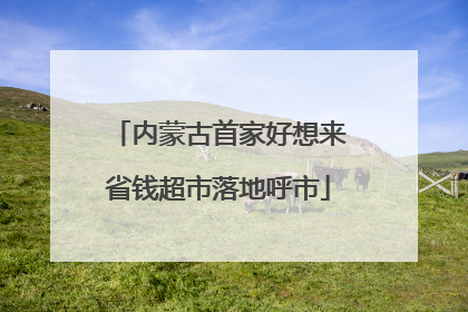 内蒙古首家好想来省钱超市落地呼市