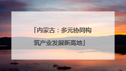 内蒙古：多元协同构筑产业发展新高地