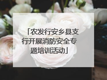 农发行安乡县支行开展消防安全专题培训活动
