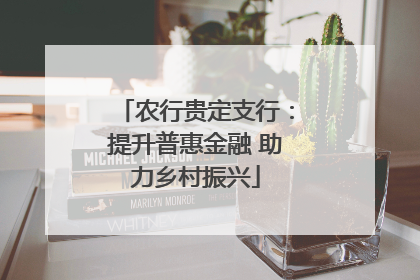 农行贵定支行：提升普惠金融 助力乡村振兴