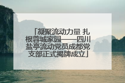 凝聚流动力量 扎根蓉城家园——四川盐亭流动党员成都党支部正式揭牌成立
