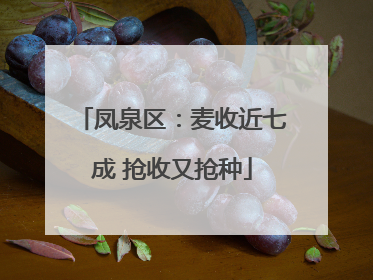 凤泉区：麦收近七成 抢收又抢种